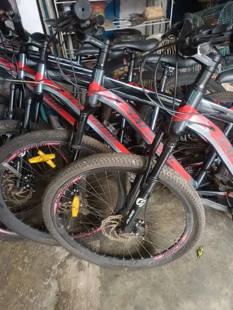 Sepeda genio salzburg