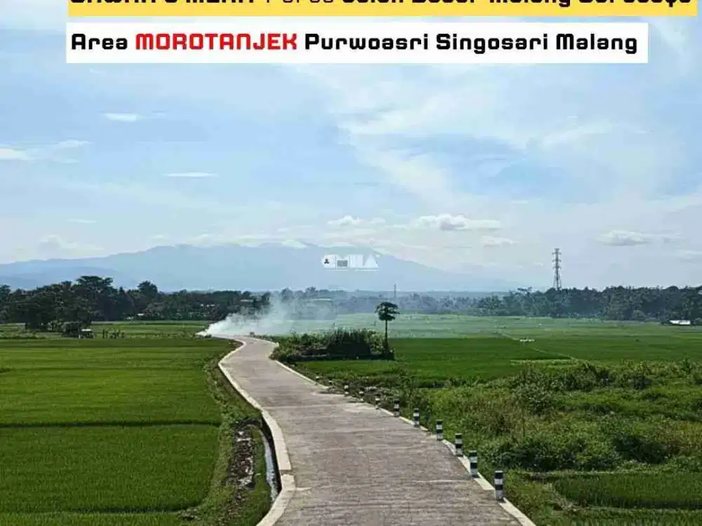 Dijual Sawah Morotanjek Belakang Rumah Makan KANTRI Singosari Malang