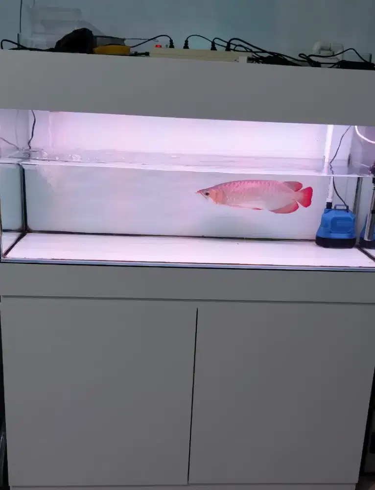 Di jual akuarium plus lemari kabinet