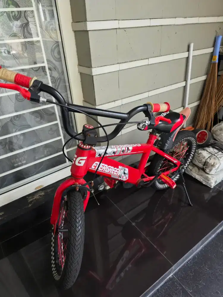 Sepeda anak evergreen