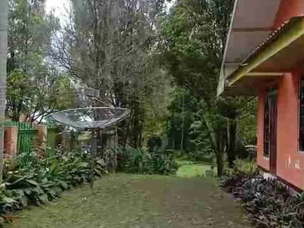 DI JUAL VILLA INCLUDE PERKEBUNAN CENGKEH AKTIF OMZET 100 JT/THN