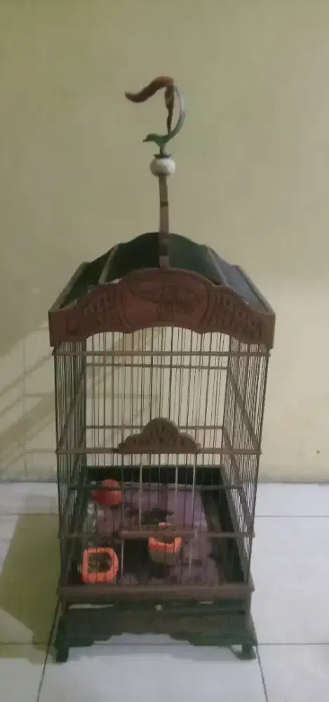 di jual kandang burung besar murah