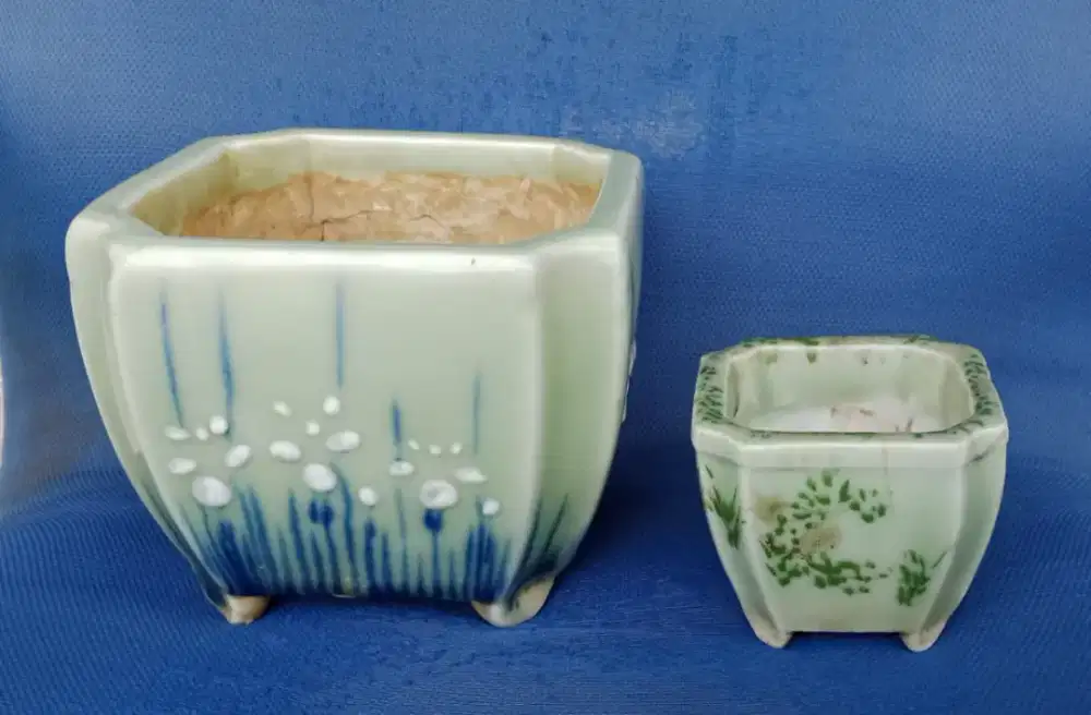 Fot bunga jmn dulu 2biji