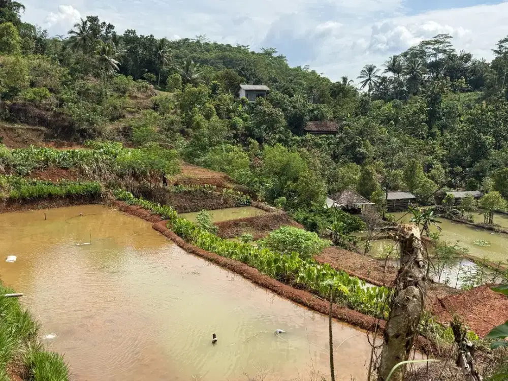 Jual Tanah Di Baregbeg Ciamis, Ada Mata Air Deras pinggir jalan
