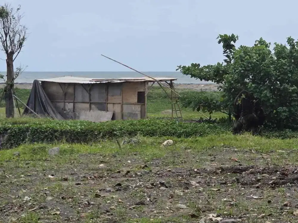 Tanah langka  loss laut dan muara lokasi Brawa Canggu