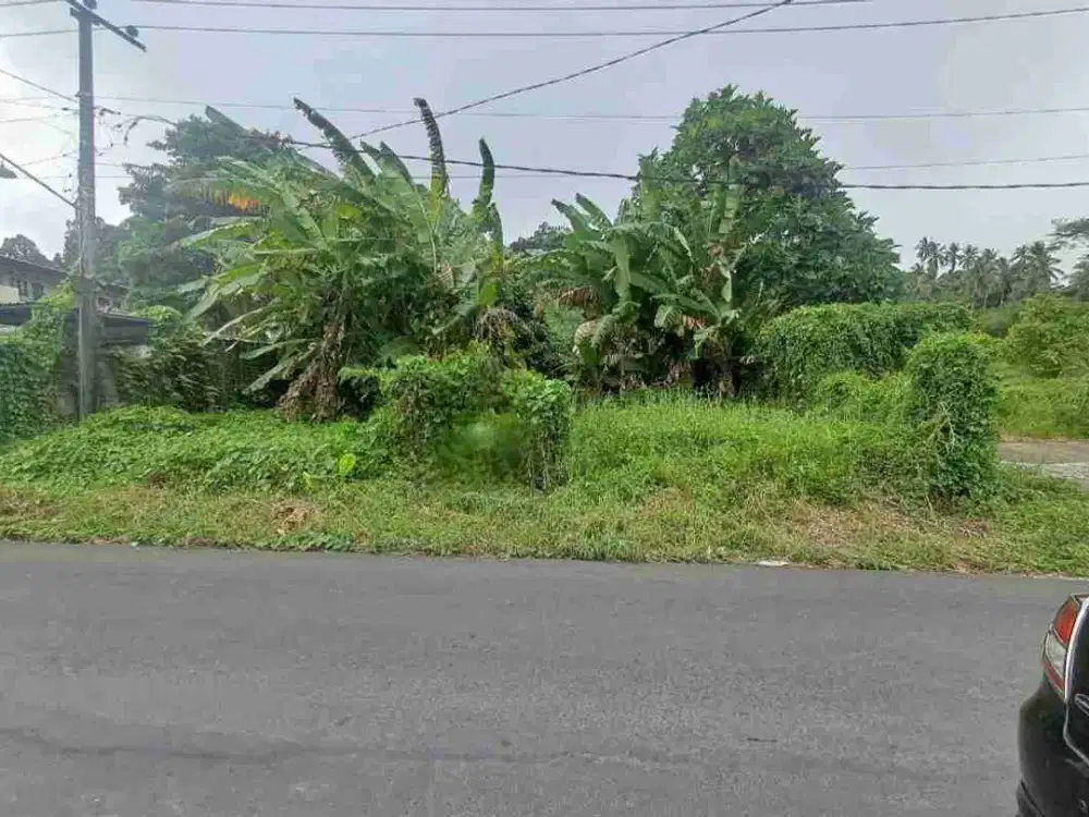 DIJUAL CEPAT TANAH CANTIK DAN MENARIK DAERAH PINELENG, HARGA SANGAT MURAH