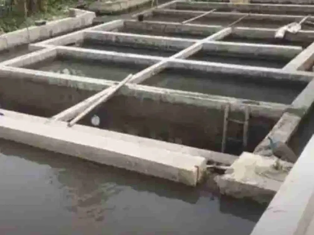 Dijual Kolam ikan air deras 9 jalur & rumah Cijambe Subang