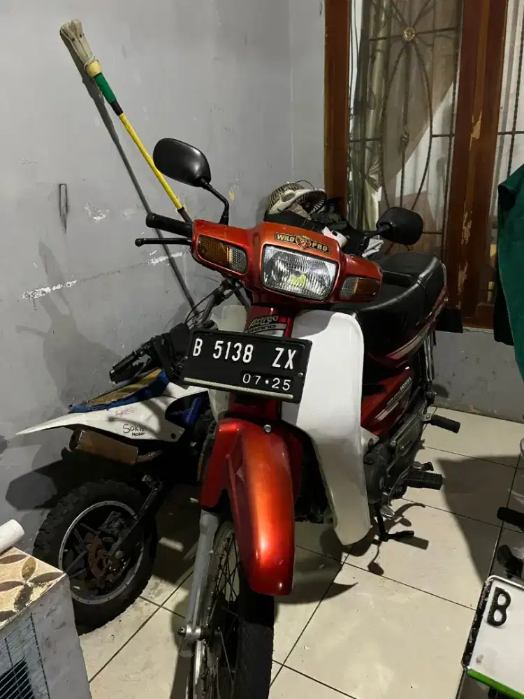 Astrea Grand wts