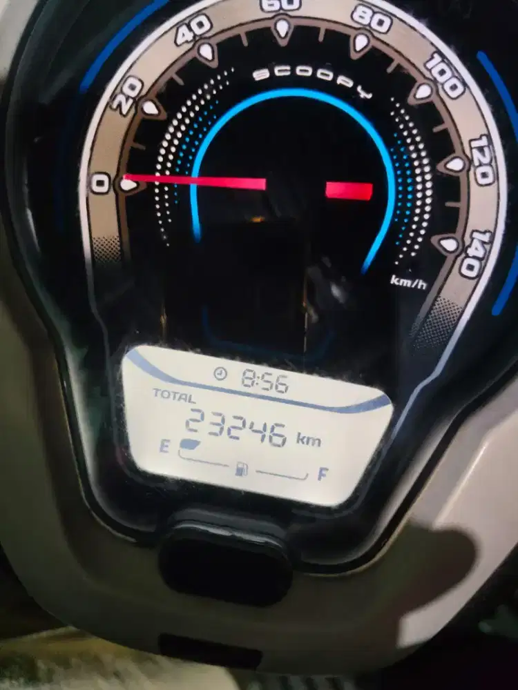 Scoopy pristage 2023