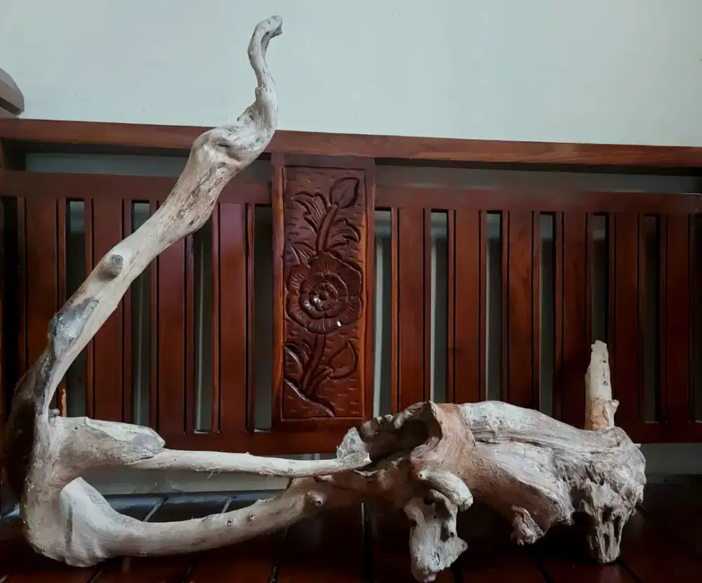 Kayu aquascape santigi laut