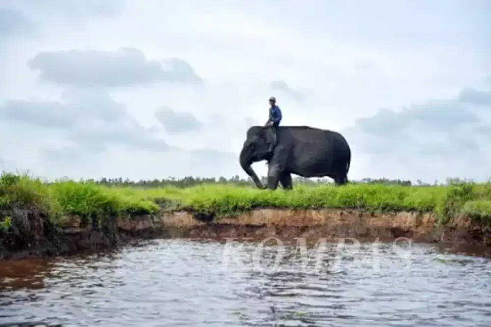 Kunci pintu Sliding merk Exito