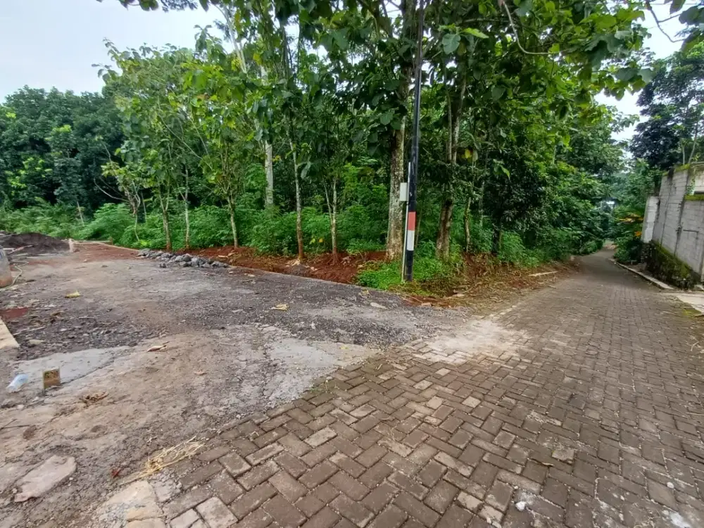 Tanah murah dimangunsari 50 meter dari jalan raya