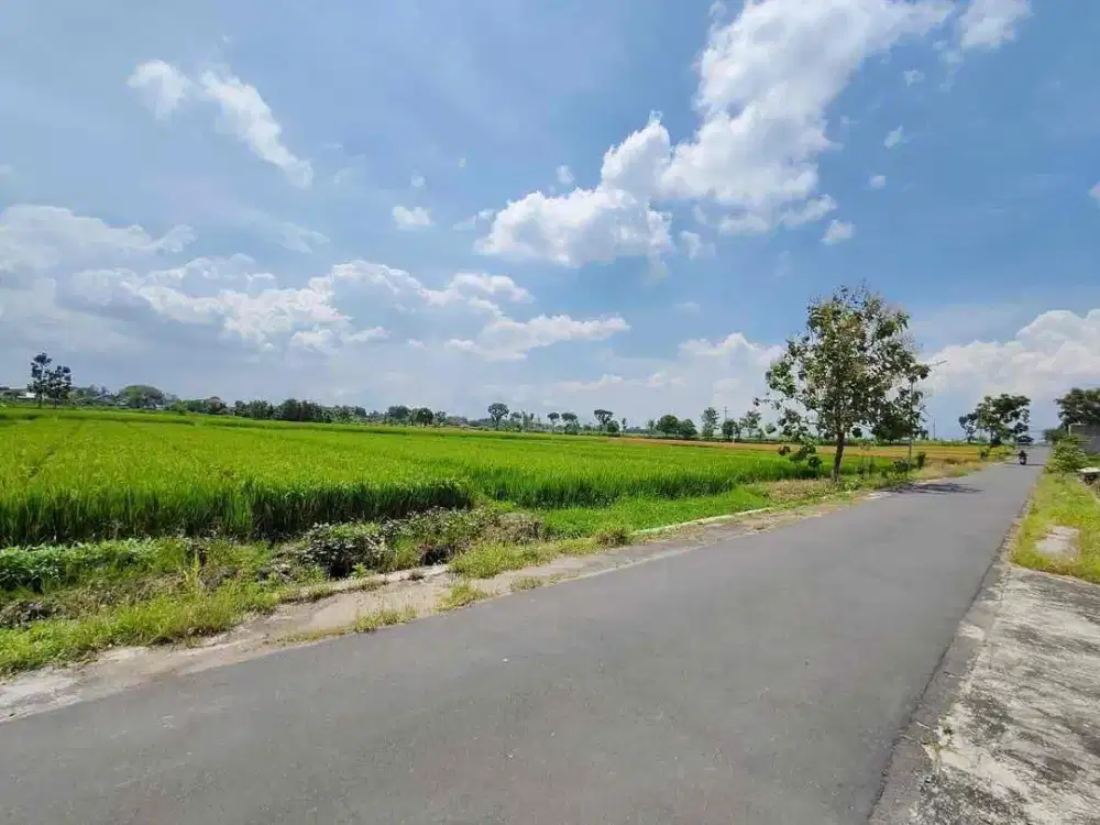 Tanah Strategis Zona Kuning