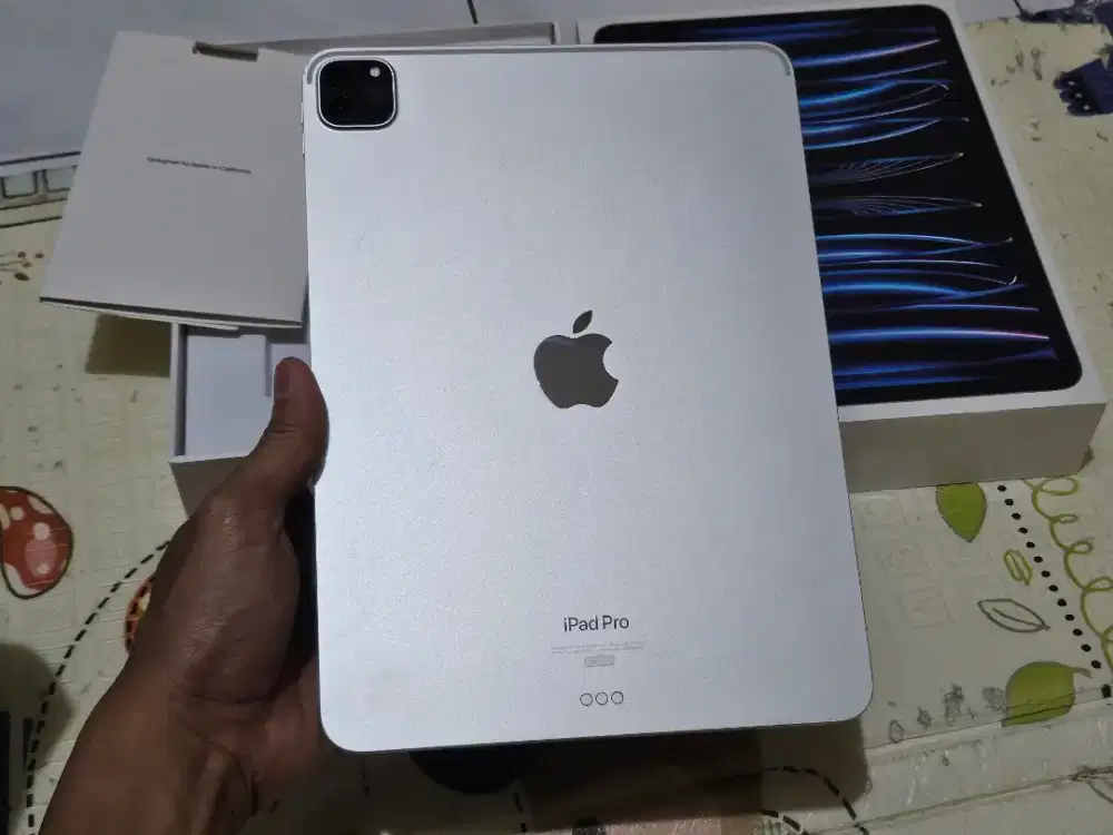 Ipad pro m2 256gb ibox