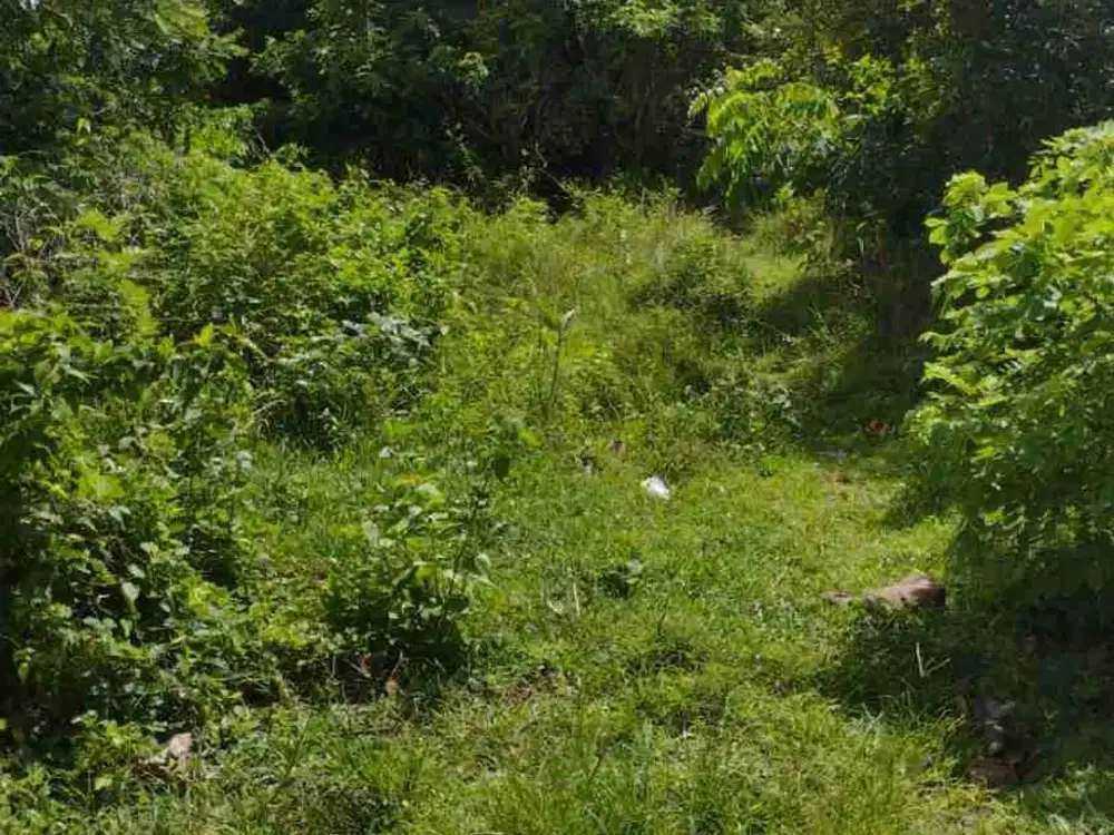 Lahan 1 Hektar Kawasan Villa Eksklusif Nusa Dua