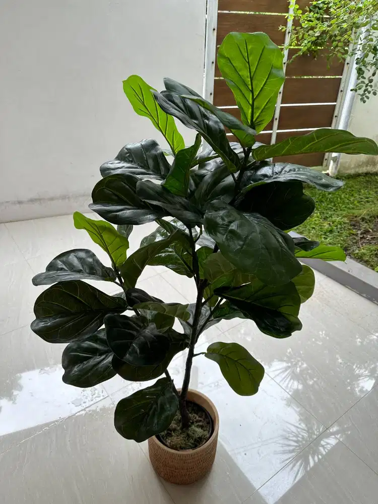 Tanaman Hias Artificial (Palsu) Besar + Pot Estetik - Dekorasi Rumah