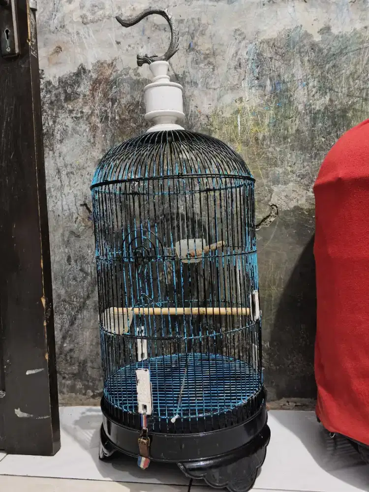 Kandang kapsul lovebird murah (negoin aja)