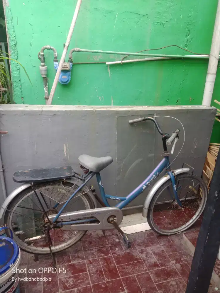 Sepeda cewek dewasa R24