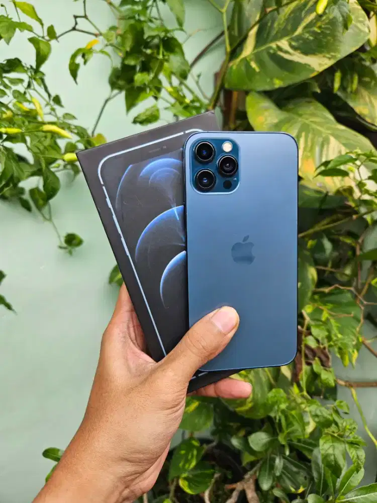 Iphone 12 Pro Max 256 Gb Resmi Beacukai