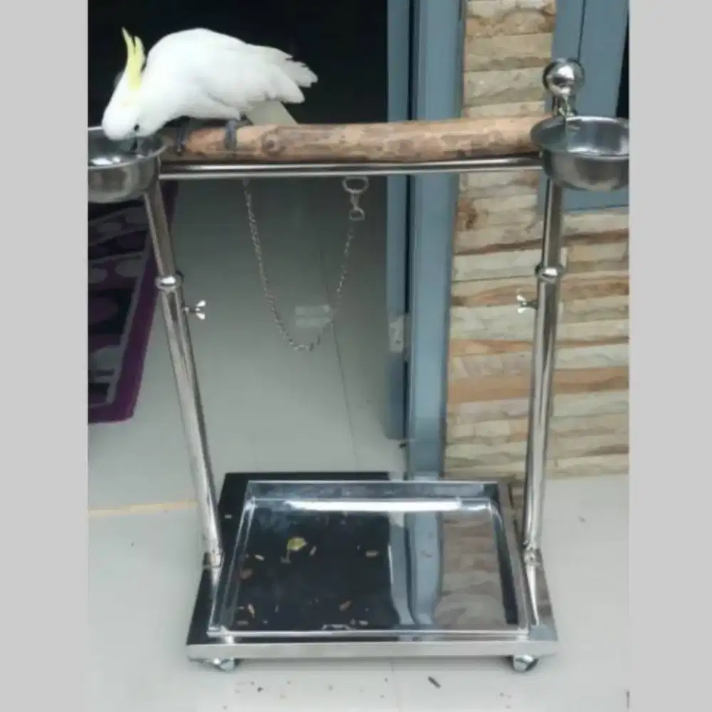 Tangkringan burung besi bagus mulus