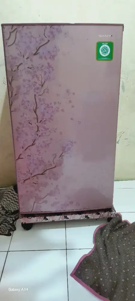 Kulkas shrapp 1 pintu