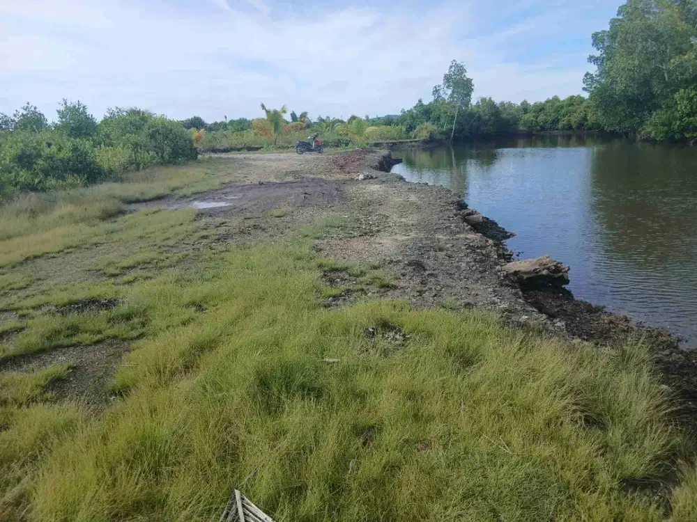 Jual Tanah 5 Hektar di Kab.Sorong Klalin 4