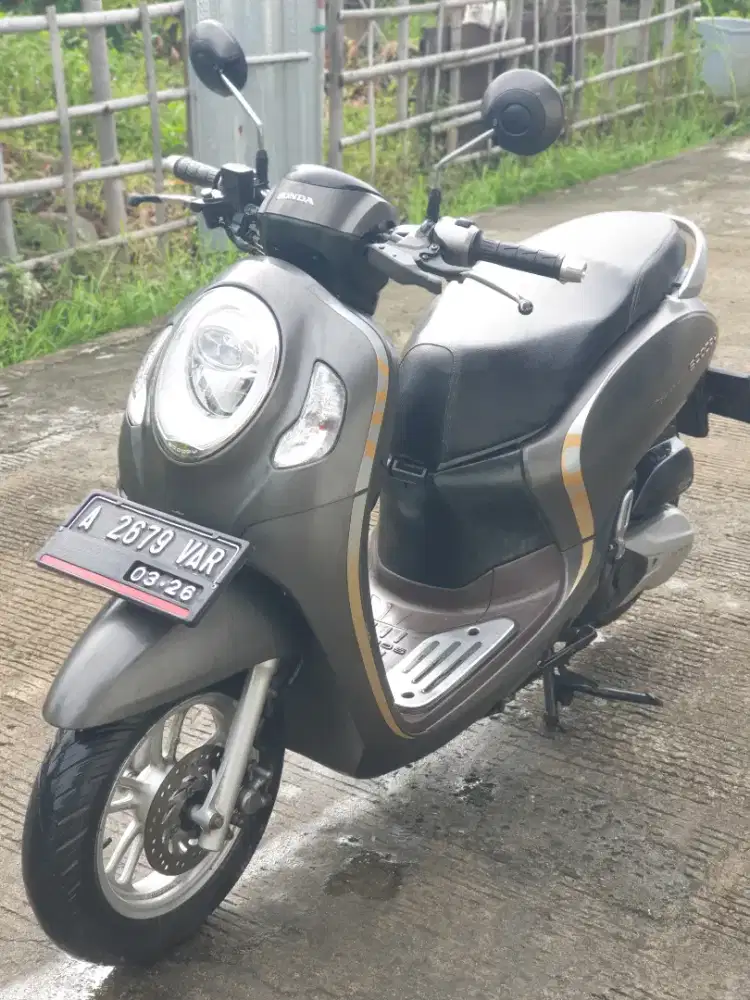 Honda Scoopy Stylish 2021 110CC
