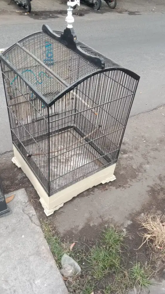 Sangkar kosan uk 50 x 50