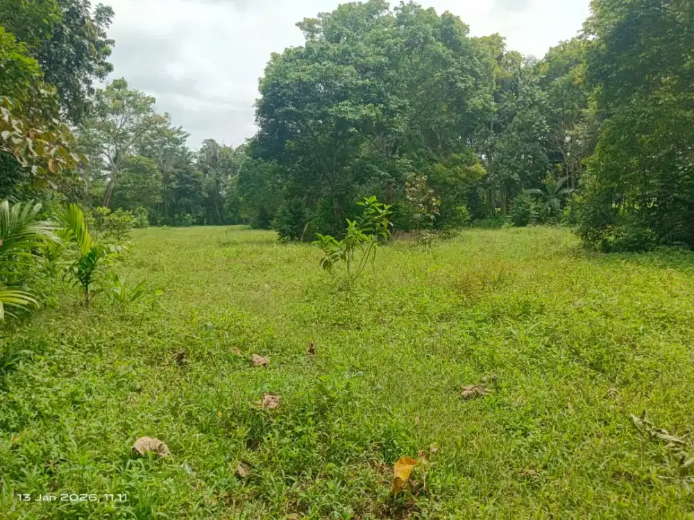 Dijual Cepat Tanah Ladang seluas 5207m²