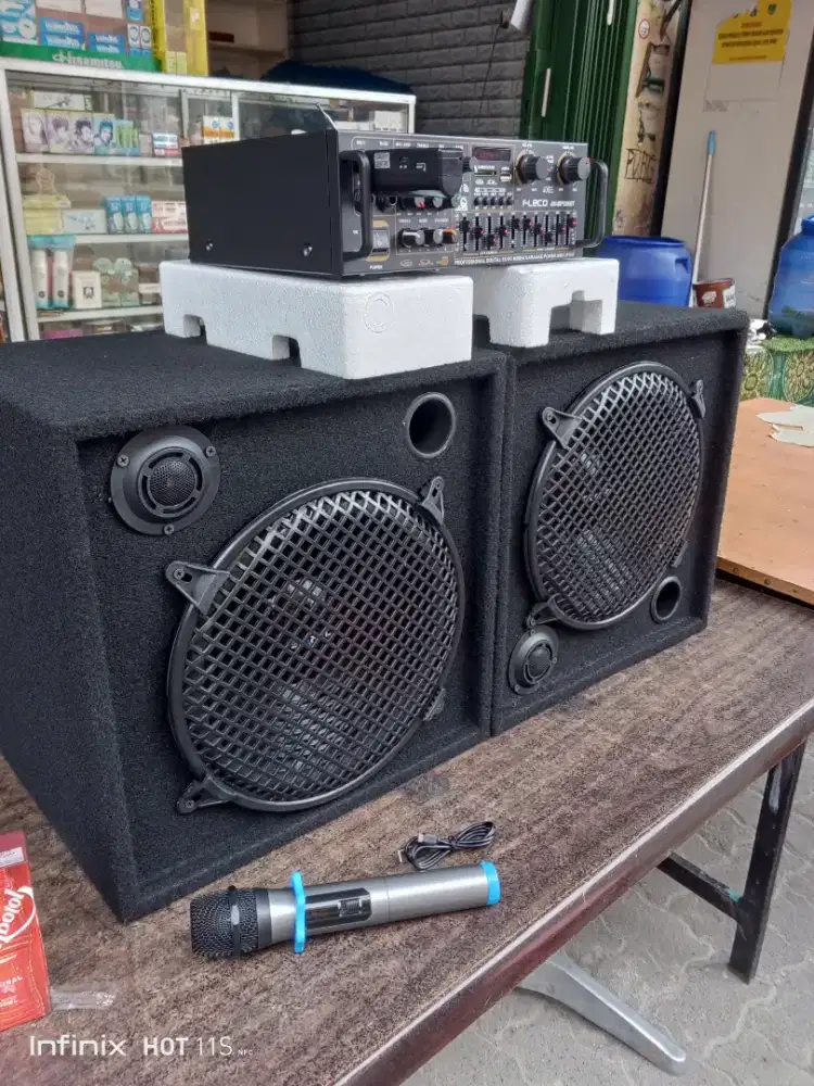 Paket sound system karaoke 12 in double