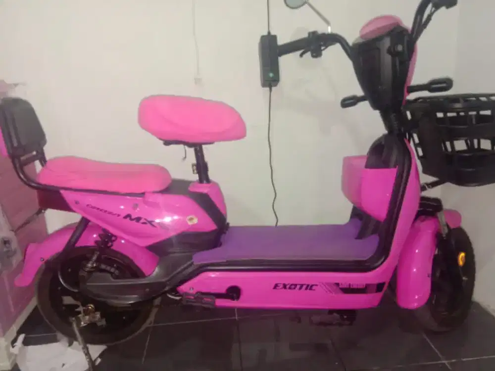 Sepeda listrik merk eksotik