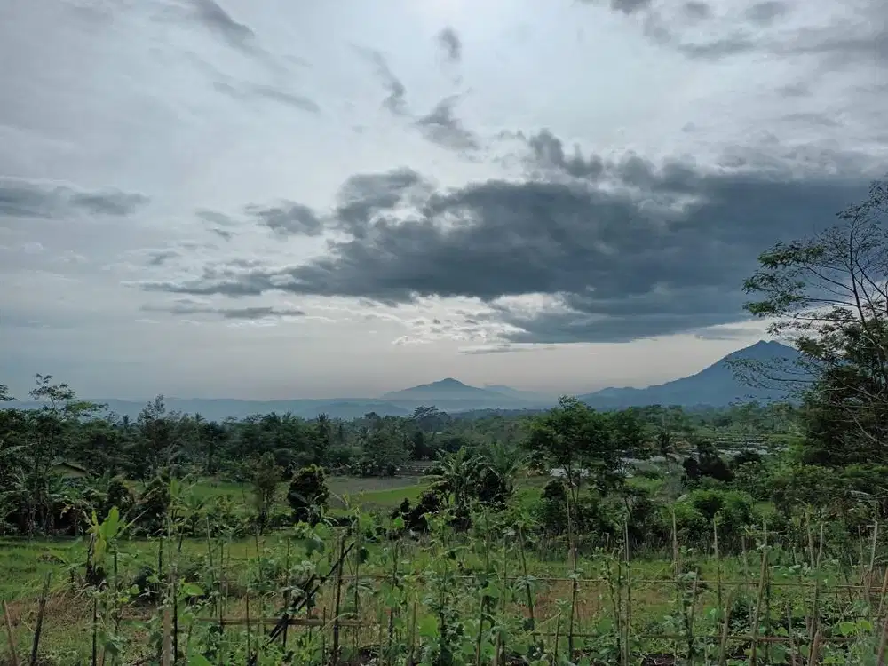 Tanah di beberapa lokasi