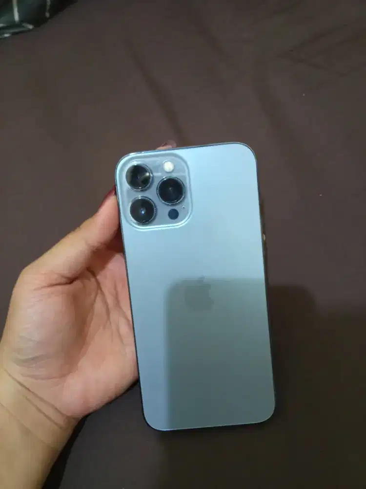 Bu iPhone 13 pro max 256gb intern