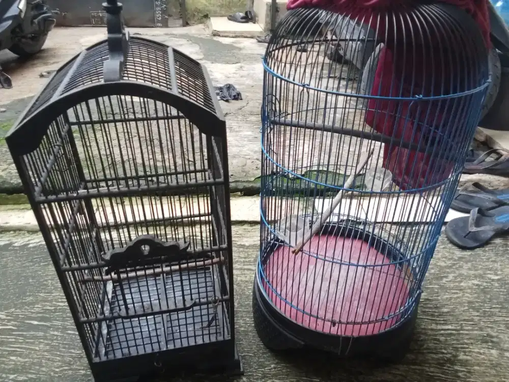 Sangkar kapsul lb&ciblek layak pakai