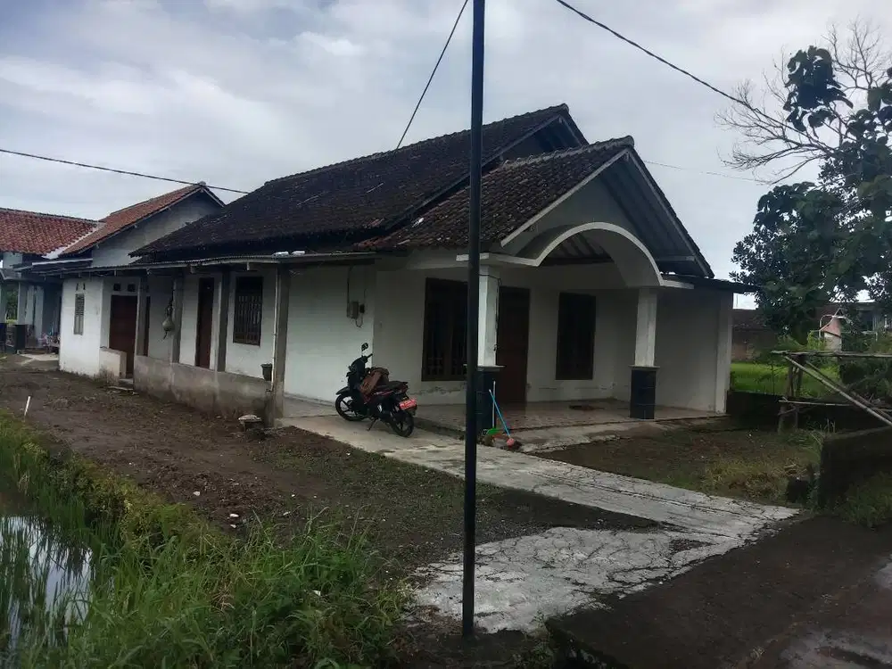 Disewakan rumah pribadi pinggir sawah asri