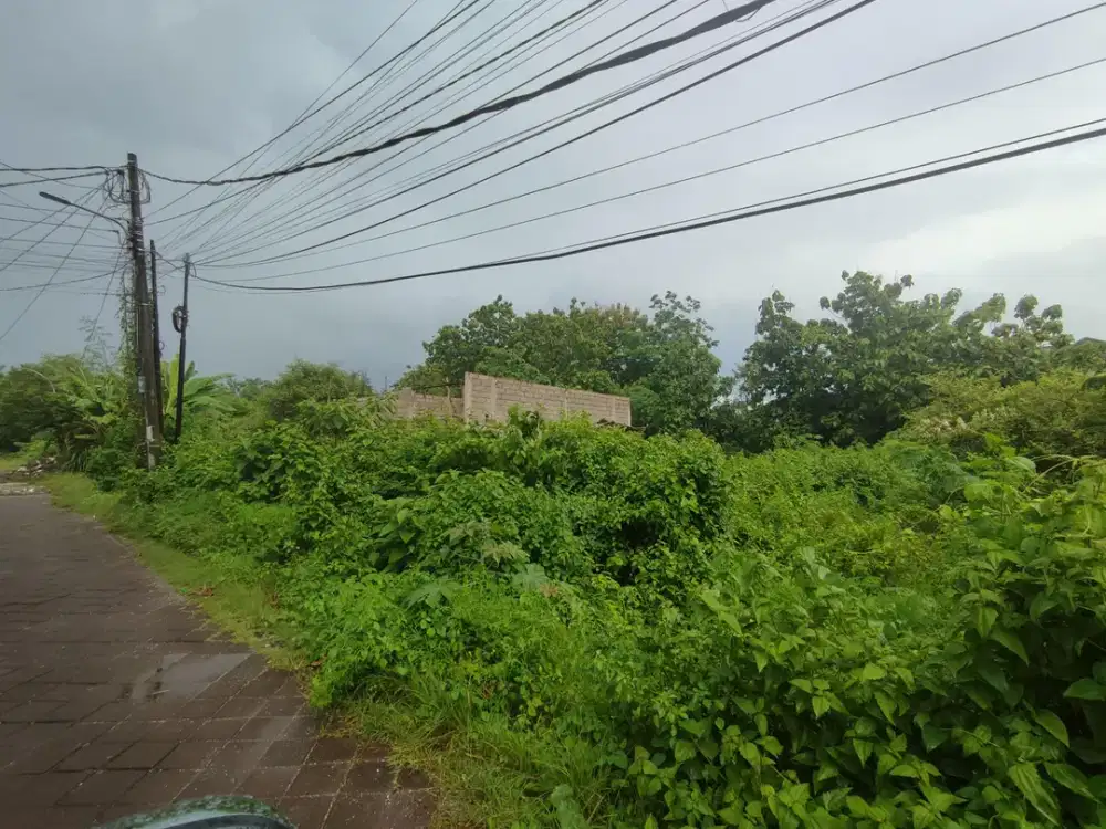 Land For Sale in Taman Mumbul - Nusa Dua