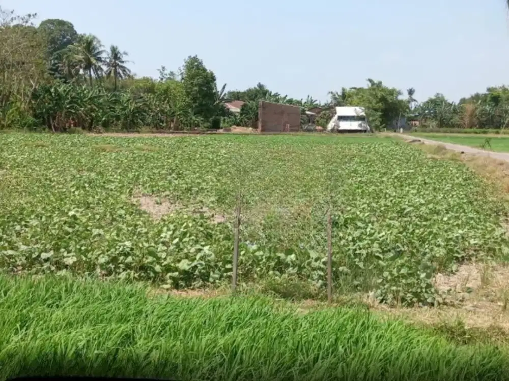 Dijual Tanah Gowa sekitar Jalan Poros Galesong Utara, Bajeng Barat