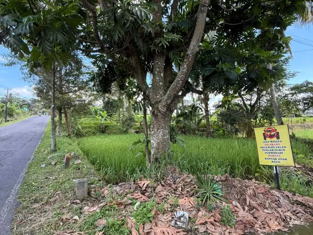 Dijual tanah sawah zona kuning pinggir jakal km 19 sleman Yogyakarta