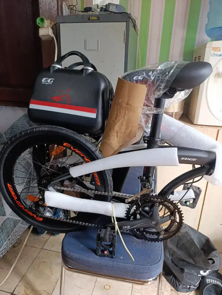 Sepdah evergreen 20 cm