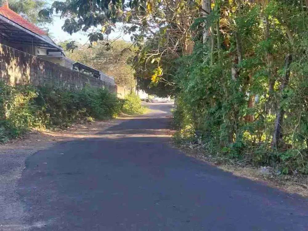 TANAH 20900m² DI KAWASAN JALAN NABOR ULUWATU, PECATU KUTA SELATAN BALI.