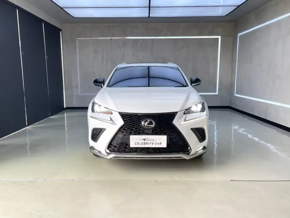Lexus NX300 F-Sport Sonic Quartz Metallic 2019