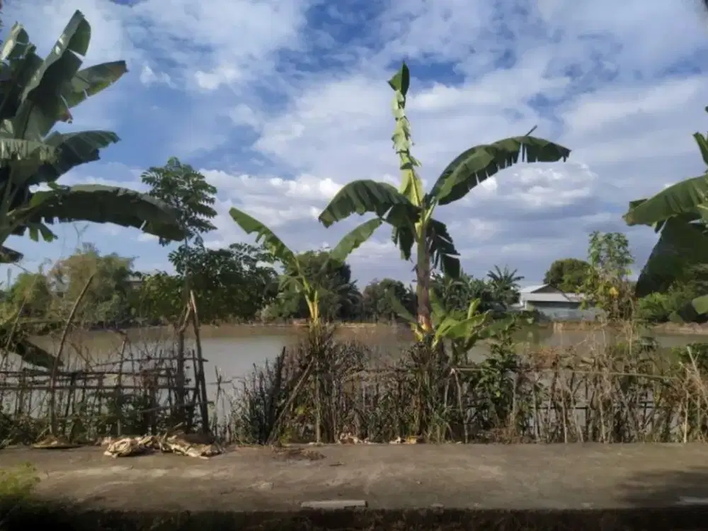 Dijual Tanah sekitar Jalan Poros Barombong, Gowa