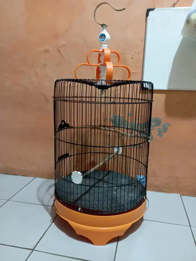 Kandang LB Jumbo mulus fullset krodong