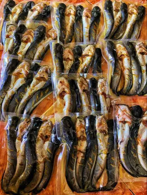 Lele marinasi siap saji + sambal mantap dan praktis