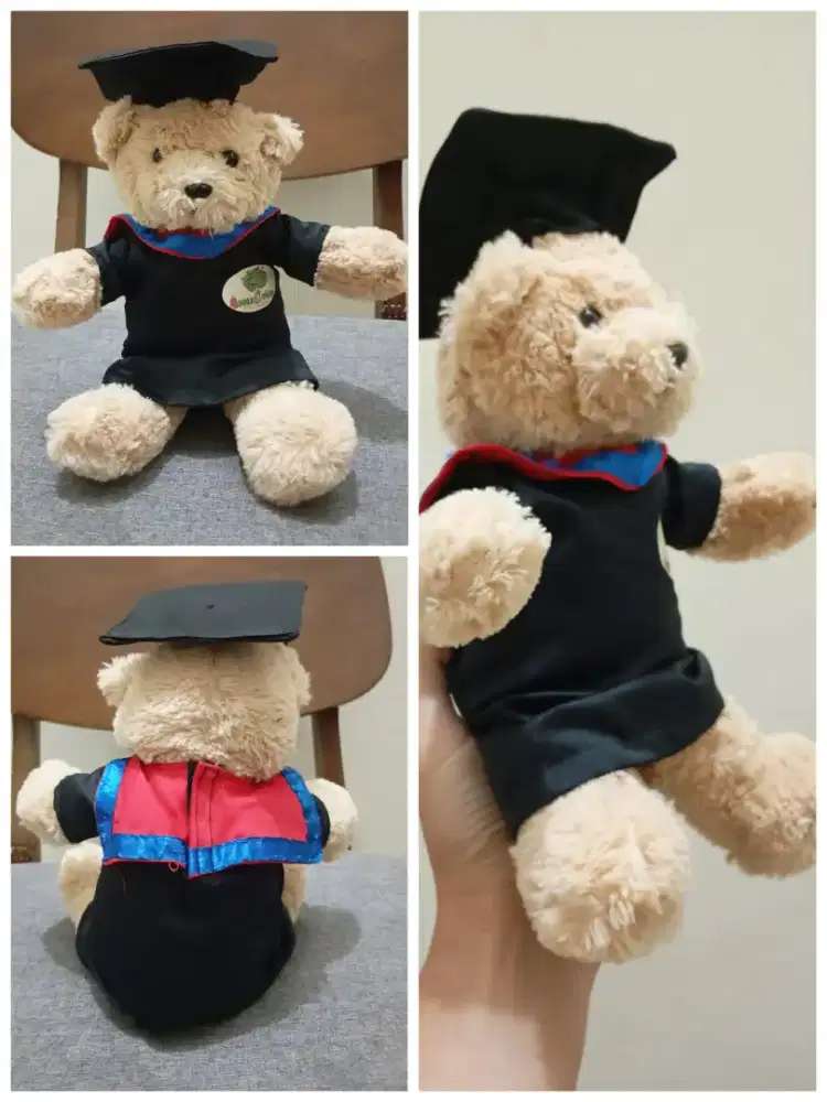 Boneka Teddy Bear Toga
