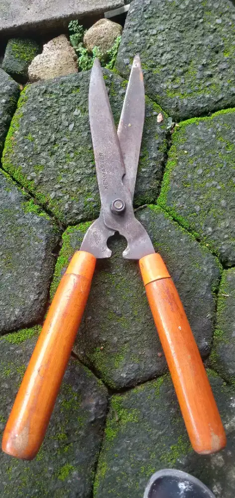 Gunting rumput dan dahan