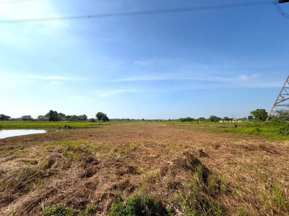 Kavling Murah 9.565m2 di Balaraja Tangerang Strategis Bebas Banjir Siap Bangun