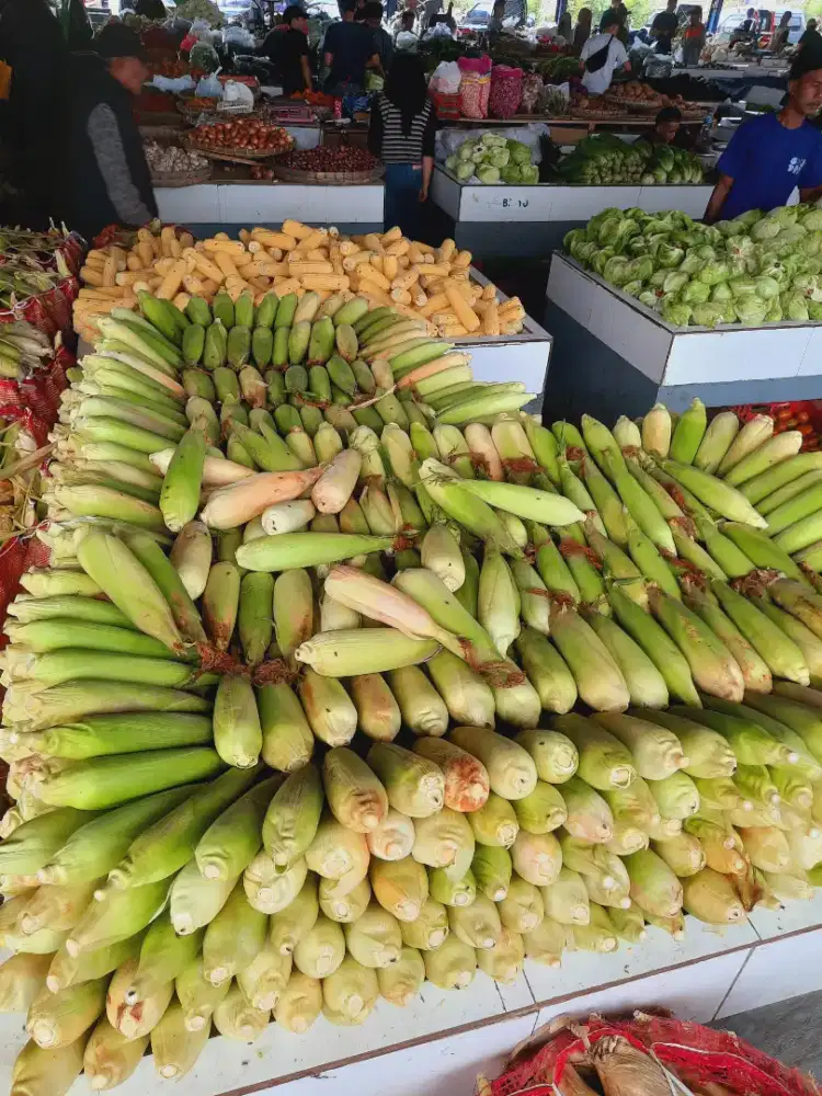 Menyediakan Berbagai Jenis Sayur Mayur Untuk Keperluan rumah tangga