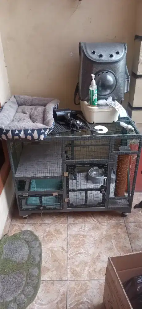 Kandang Kucing dan Perlengkapannya