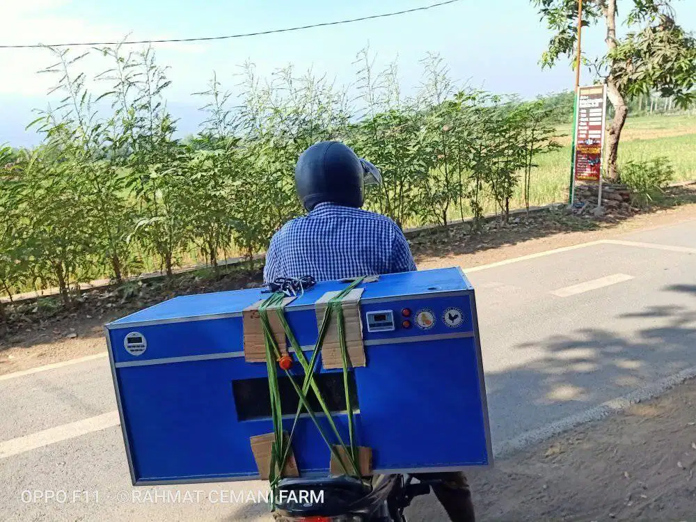 Mesin penetas telur otomatis